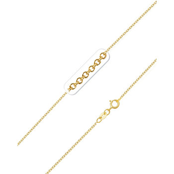 Round Chain 9ct Gold by