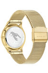 TED BAKER Belgravia Gold Stainless Steel Bracelet