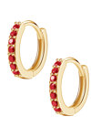 Earrings Hoops 14ct gold with Zircon