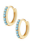 Earrings Hoops 14ct gold with Zircon