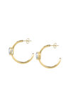 CHIARA FERRAGNI Diamond Heart 18ct Gold Plated Earrings with Zircon