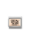 Nomination Link Pisces made of Stainless Steel and 9ct Rose Gold with Enamel