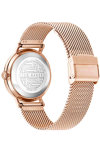 TED BAKER Phylipa Lemongrass Rose Gold Stainless Steel Bracelet