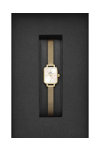 DANIEL WELLINGTON Quadro Mini Evergold Gold Stainless Steel Bracelet