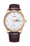 CITIZEN Eco-Drive Brown Leather Strap