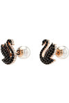 SWAROVSKI Black Swan stud earrings