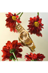 D1 MILANO Ultra Thin Gold Stainless Steel Bracelet