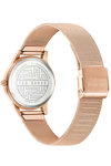 TED BAKER Fitzrovia Rose Gold Stainless Steel Bracelet