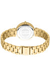 JUST CAVALLI Glam Crystals Gold Stainless Steel Bracelet