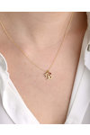 Necklace Zodiac Capricorn in 14ct gold with Ζircon by FaCaDoro
