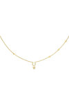 CERRUTI Carlotta Stainless Steel Necklace